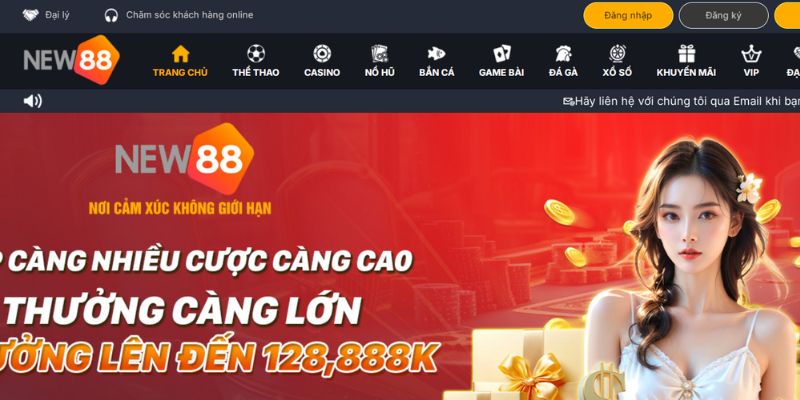 Khái quát thông tin nền tảng cá cược New88